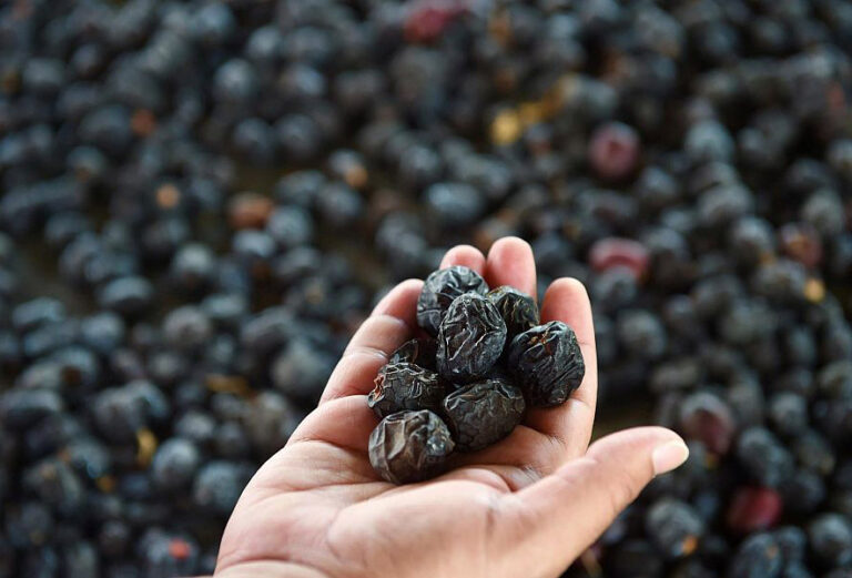 dates distributor
